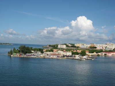 IMG_2821.jpg