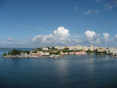 IMG_2823.jpg