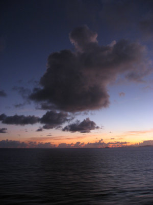 IMG_2876.jpg