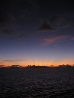 IMG_2877.jpg