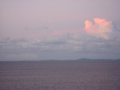 IMG_2905.jpg