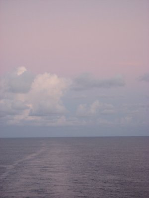 IMG_2906.jpg