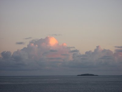 IMG_2908.jpg