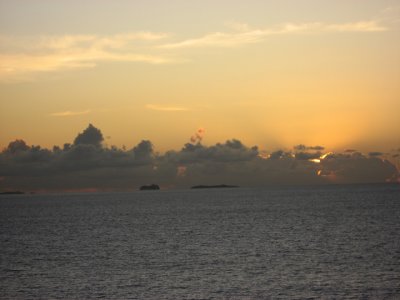 IMG_2911.jpg
