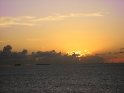 IMG_2912.jpg