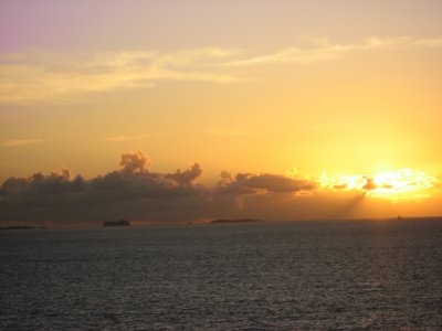 IMG_2913.jpg