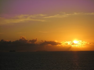 IMG_2915.jpg