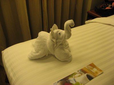 IMG_2978.jpg