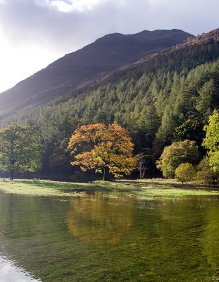 Buttermere