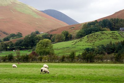 Buttermere