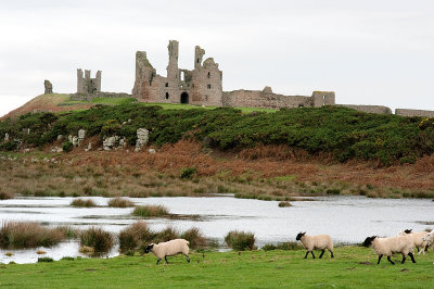 Dunstanburgh castle