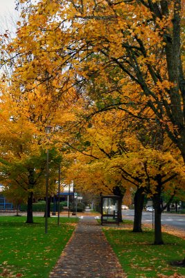 2009_1108_164809AA.jpg
