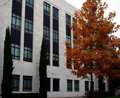 2009_1108_164825AA.jpg