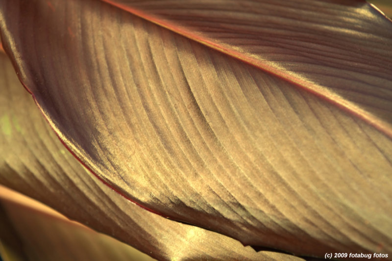 D3-082709_020.jpg