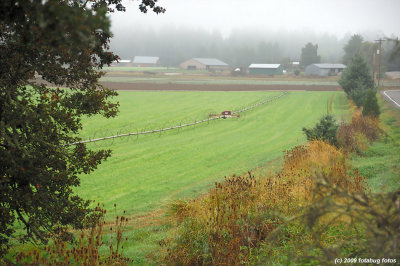 D2x-091709_019.jpg