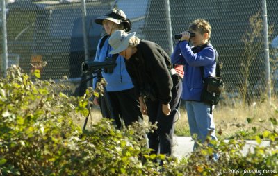 Birdwatchers