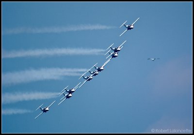 CRW_2685_crop.jpg