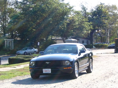 Mustang rental car.........go Hertz it was fun