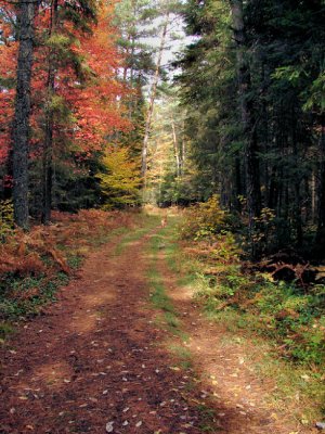 ben-trail2-487_DSC08163.jpg