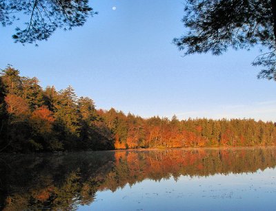 polliwog1-750_DSC08378.jpg