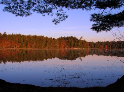 polliwog2-750_DSC08375.jpg