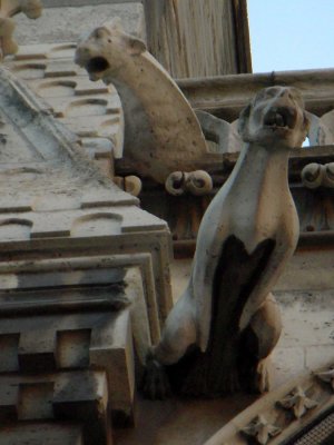 Notre Dame