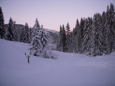 Snowshoeing