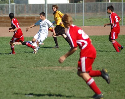 DSC_0087.jpg