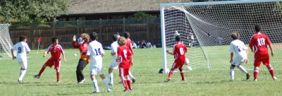 DSC_0275.jpg