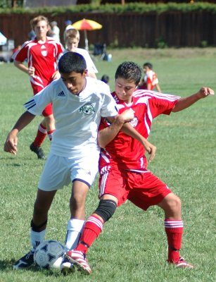 DSC_0356.jpg
