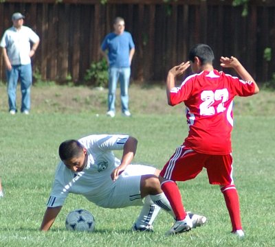 DSC_0423.jpg