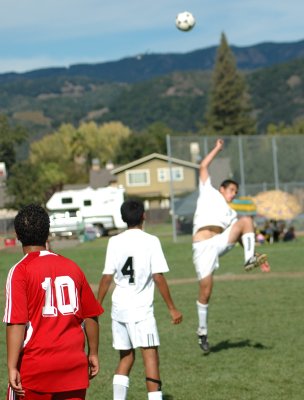 DSC_0429.jpg