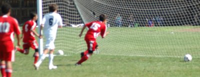 DSC_0446.jpg