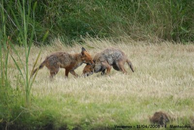 DSC_3799.JPG