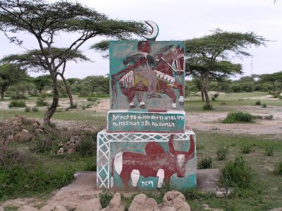 on_the_road_in_ethiopia