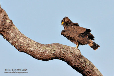 IMG_7716w.jpg