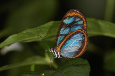 g5/66/641866/3/98653432.8tEahkjc.jpg