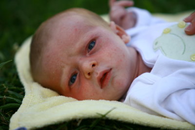 harry