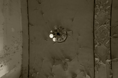 DSC_3540a.jpg