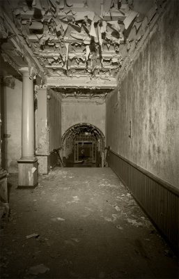 DSC_3559a.jpg