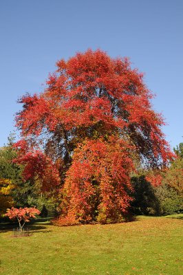 DSC_7463.jpg
