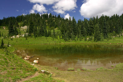 g5/67/34567/3/67280826.fShNT42g.jpg