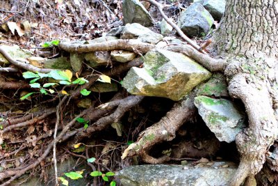 Chimney Rock State Park