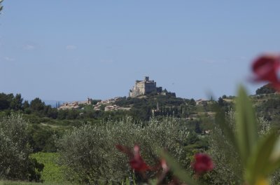 Vaucluse