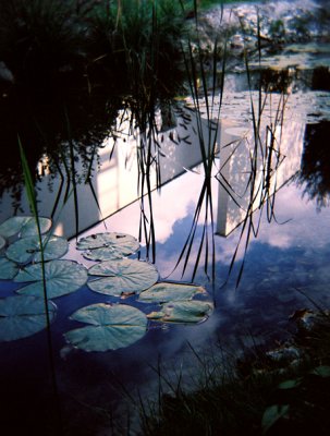 holga2bettinaspond.jpg