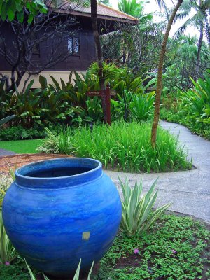 Blue Pot.JPG