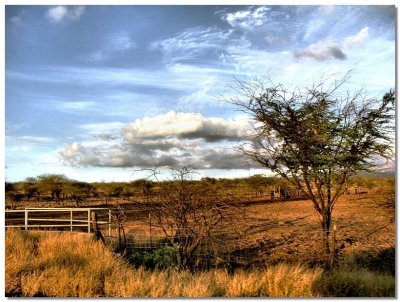 MauiCountryside2.jpg