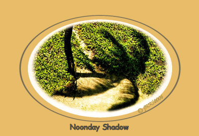 NoonTimeShadow.jpg