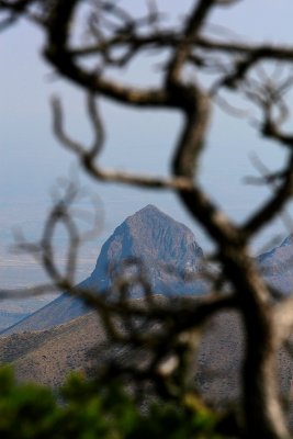 IMG_7616.JPG
