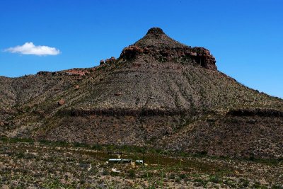 IMG_8029.JPG